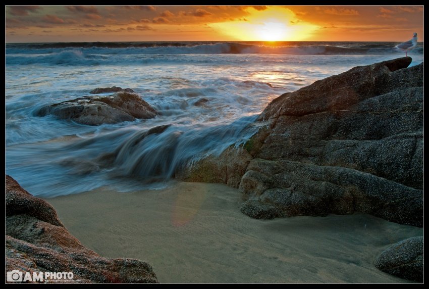 Gray Whale Cove Sunset