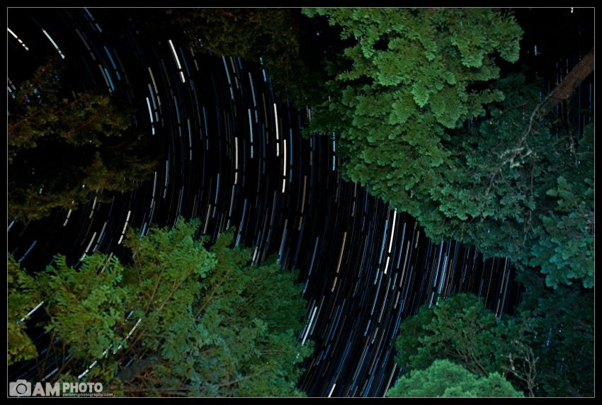 Trinity Lake Startrail